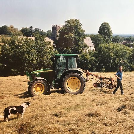 Appartamento Carey'S Bar & Farmhouse Kilkenny Border Oldleighlin Esterno foto