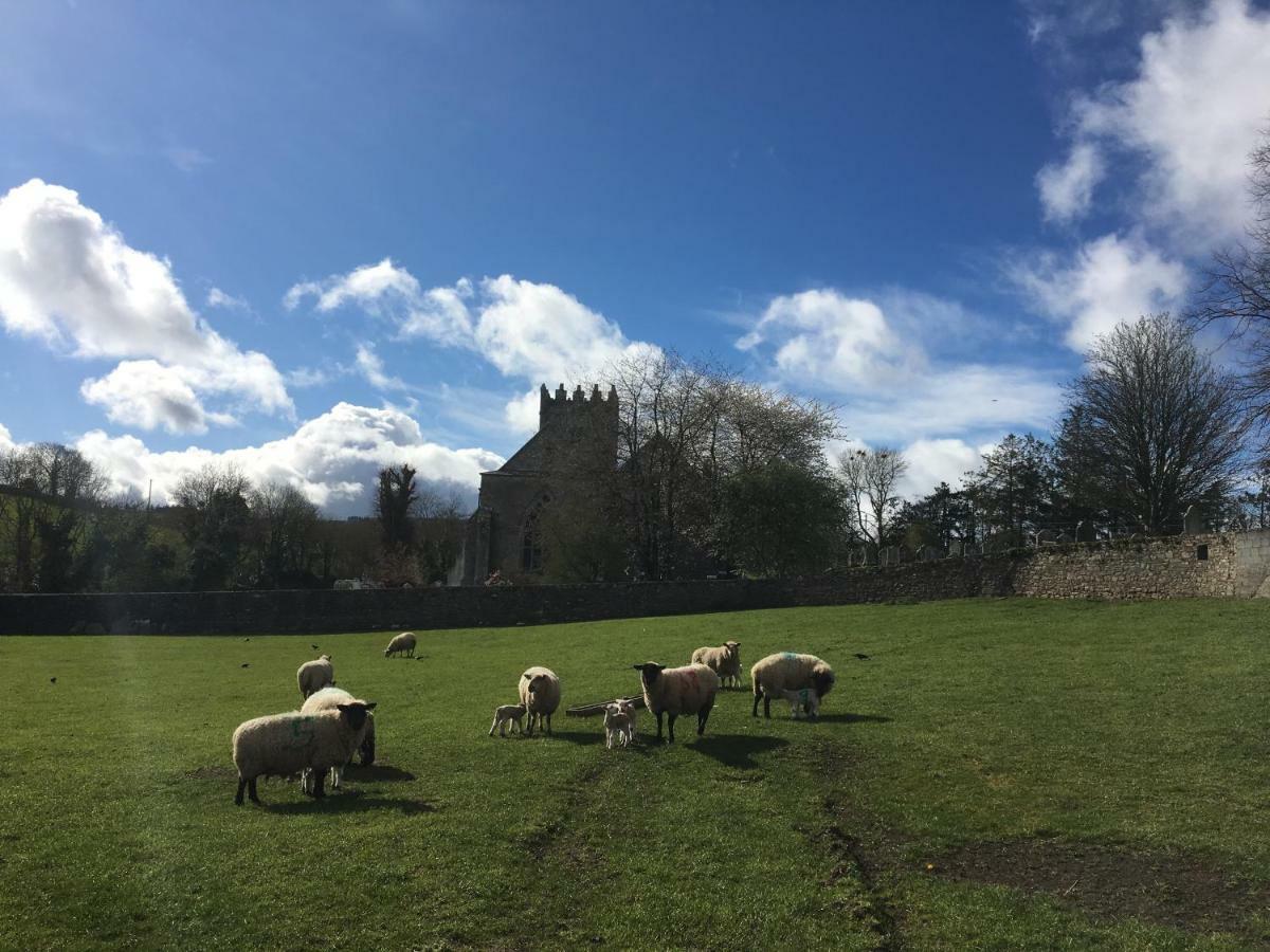 Appartamento Carey'S Bar & Farmhouse Kilkenny Border Oldleighlin Esterno foto