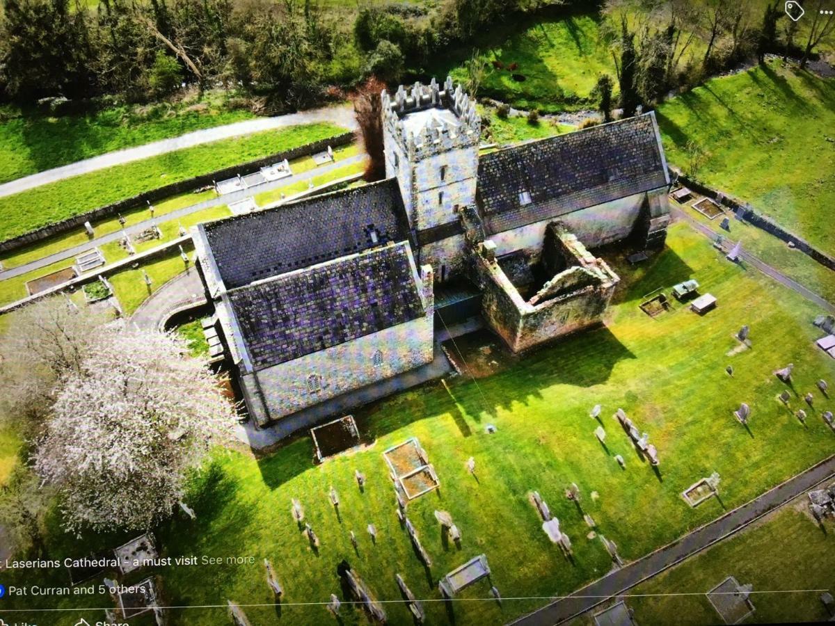 Carey'S Bar & Farmhouse Kilkenny Border Oldleighlin Esterno foto